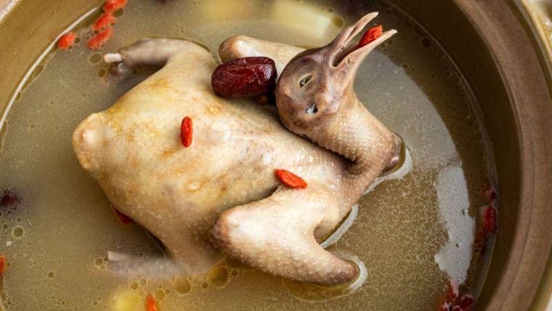 Khám phá 3 công thức bồ câu hấp cách thủy thơm ngon, bổ dưỡng cho cả gia đình