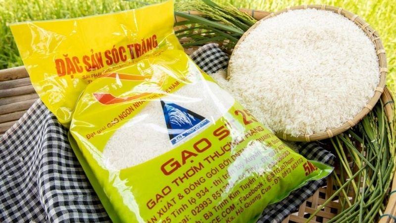 Khám phá 5 thương hiệu gạo ST25 nổi bật và được ưa chuộng nhất trên thị trường hiện nay