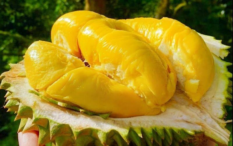 Sầu riêng Cái Mơn là gì và làm sao để chọn được quả sầu riêng Cái Mơn ngon nhất?