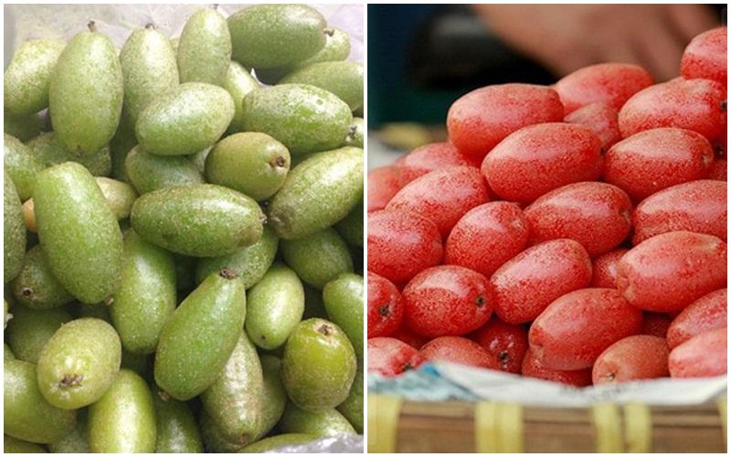 Quả nhót là loại trái cây đặc trưng của miền Bắc, nhưng không phải ai cũng hiểu rõ về công dụng kỳ diệu của nó đối với sức khỏe. Hãy cùng khám phá những giá trị mà quả nhót mang lại.