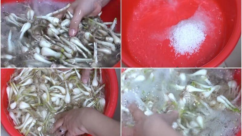 Hướng dẫn làm củ kiệu muối chua ngọt độc đáo, không cần giấm mà vẫn giữ được vị ngon khó cưỡng