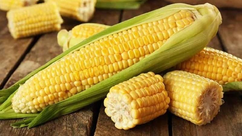 Bắp có bao nhiêu calo? Liệu ăn bắp có thể hỗ trợ quá trình giảm cân?