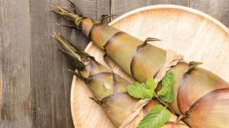 Măng tre chứa bao nhiêu calo và có những tác dụng gì đối với sức khỏe?