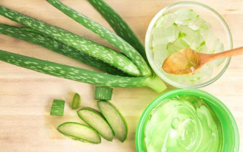 Khám phá 10 phương pháp hiệu quả và đơn giản để sử dụng nha đam trị mụn ngay tại nhà, mang đến làn da khỏe đẹp tự nhiên.