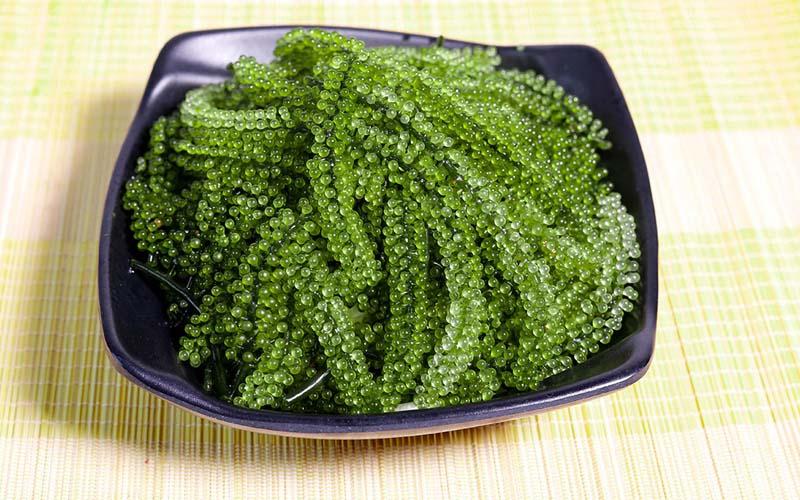Mang thai có nên sử dụng rong nho? Khám phá giá trị dinh dưỡng vượt trội của rong nho và lợi ích cho sức khỏe mẹ bầu.