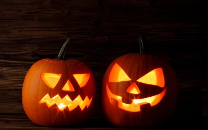Khám phá nghệ thuật tỉa và trang trí quả bí ngô Halloween một cách dễ dàng nhưng đầy sáng tạo, mang đến không khí huyền bí cho ngôi nhà của bạn.