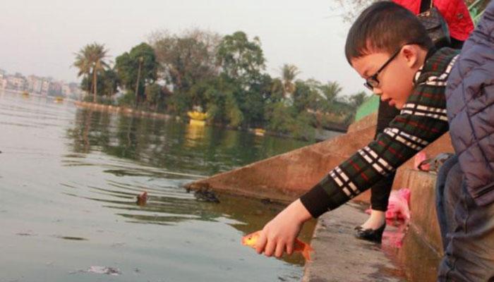 Hành động thả cá chép xuống cầu, kèm theo bao nilon, là một sai lầm nghiêm trọng trong nghi thức cúng ông Táo.