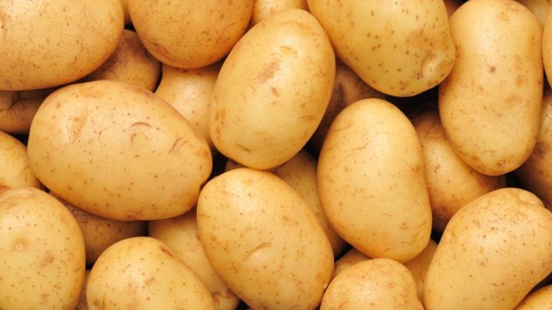 Khoai tây, một thực phẩm quen thuộc, không chỉ thơm ngon mà còn mang lại những lợi ích sức khỏe tuyệt vời. Hãy cùng khám phá những công dụng bất ngờ của loại củ này để hiểu rõ hơn về giá trị dinh dưỡng của nó.