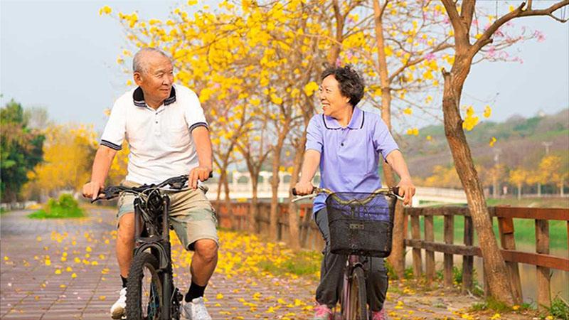Giải pháp chữa táo bón cho người cao tuổi bằng các nguyên liệu thiên nhiên dễ tìm ngay tại nhà