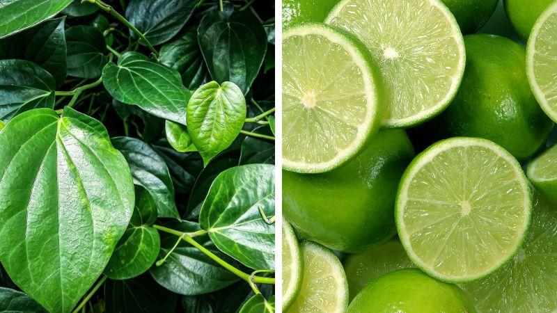 Khám phá bí quyết làm đẹp tuyệt vời từ lá trầu không, tiết kiệm chi phí mà hiệu quả vượt ngoài mong đợi.