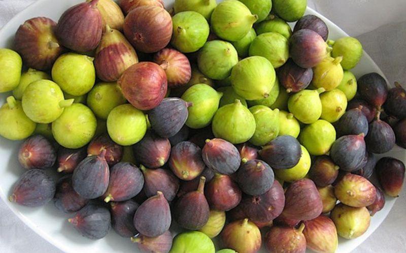 Khám phá cách chế biến quả sung khô tại nhà, không chỉ là món ăn vặt ngon miệng mà còn mang lại những lợi ích tuyệt vời cho sức khỏe.