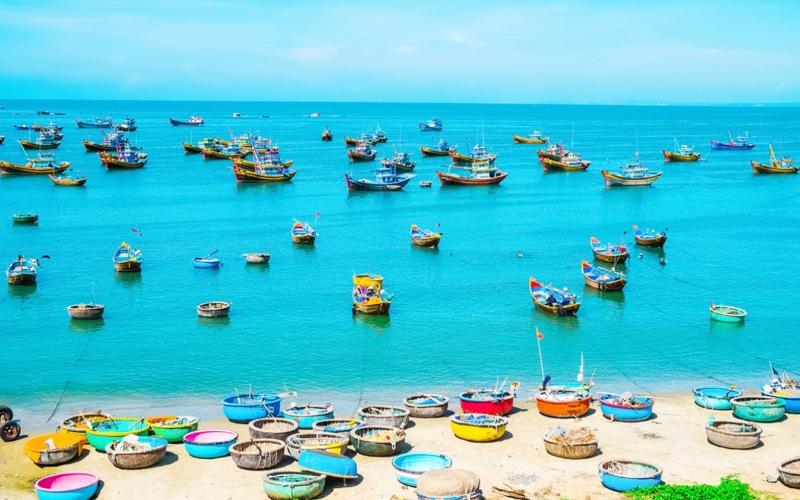 Khám phá 15 đặc sản Bình Thuận không thể bỏ qua: Những món ngon đặc trưng để thưởng thức và mang về làm quà
