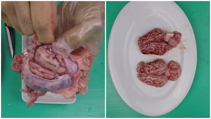 Hướng dẫn cách chế biến óc heo trắng, thơm ngon mà không bị mùi tanh