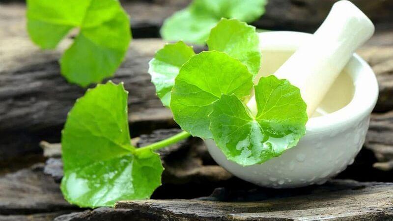 Madecassoside – thành phần tự nhiên dịu nhẹ, là lựa chọn lý tưởng để điều trị mụn và dưỡng da khỏe mạnh, mịn màng.