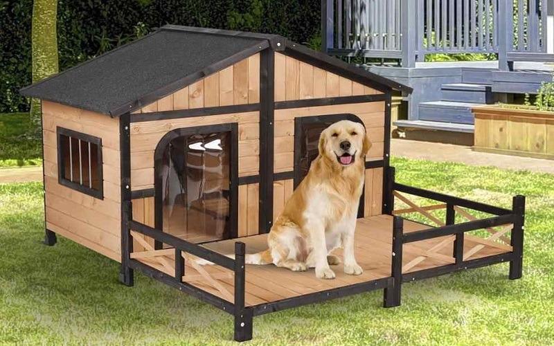 Khám phá 8 mẫu nhà và lồng chó đẹp, bền bỉ nhất