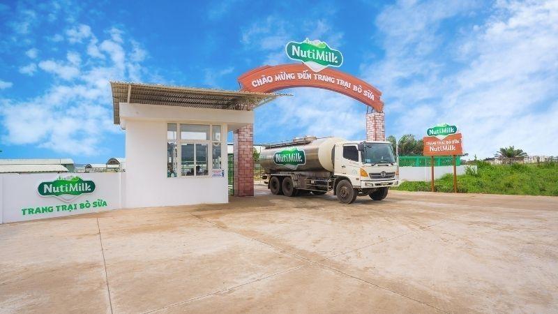 NutiMilk cung cấp những loại sữa chua nào? Loại nào sẽ mang đến trải nghiệm tuyệt vời nhất?