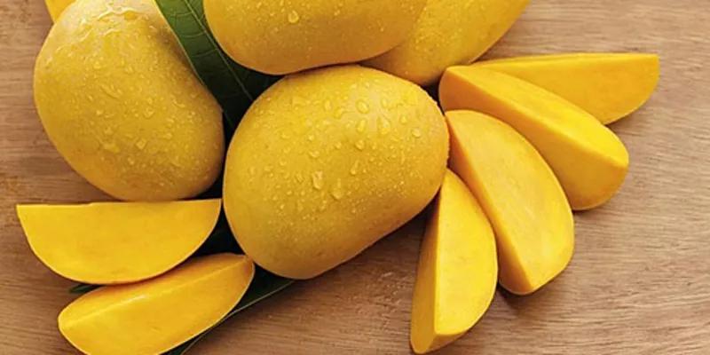 Nước ép xoài mang lại những lợi ích tuyệt vời cho sức khỏe của bé, không chỉ bổ sung dưỡng chất mà còn giúp bé phát triển toàn diện. Hãy cùng khám phá cách chế biến món nước thơm ngon này cho bé yêu.
