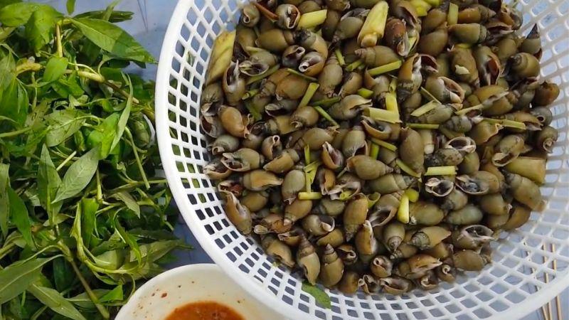 Khám phá cách làm ốc cà na hấp sả – món ăn bổ dưỡng cho cả gia đình trong những ngày mưa, giúp nâng cao sức khỏe và thêm phần hấp dẫn cho bữa cơm.