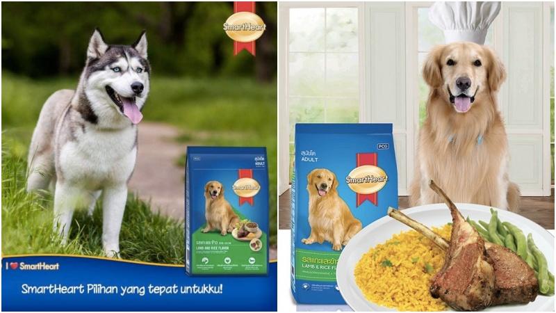 Khám phá ngay những sản phẩm thức ăn cho thú cưng chất lượng cao, chính hãng với mức giá hấp dẫn chỉ có tại Tripi.