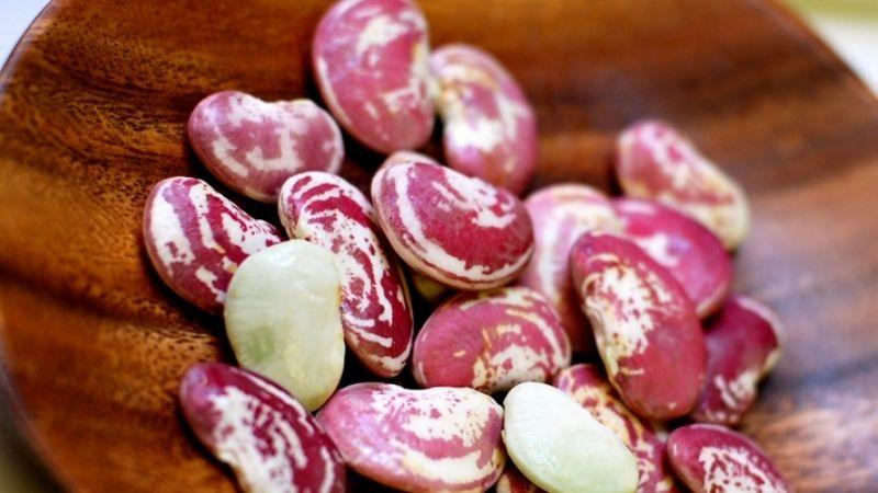 Đậu ngự là gì? Khám phá những tác dụng tuyệt vời của đậu ngự đối với sức khỏe