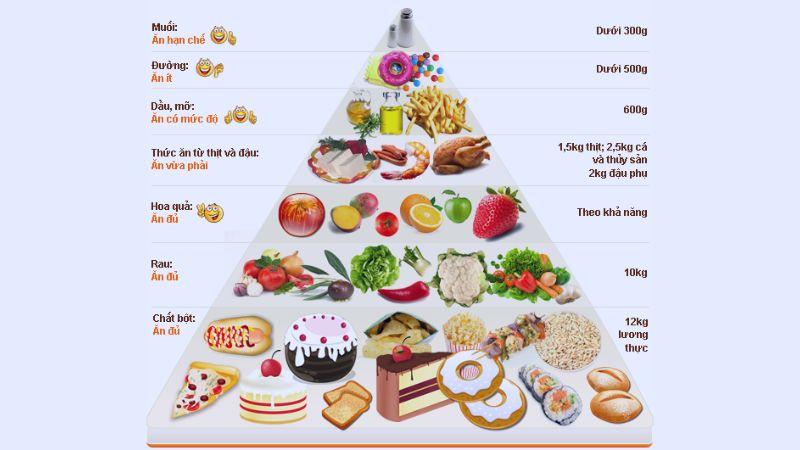 Phương pháp xây dựng chế độ dinh dưỡng cho người gầy theo tháp dinh dưỡng là cách thức tối ưu để giúp cải thiện cân nặng và sức khỏe.