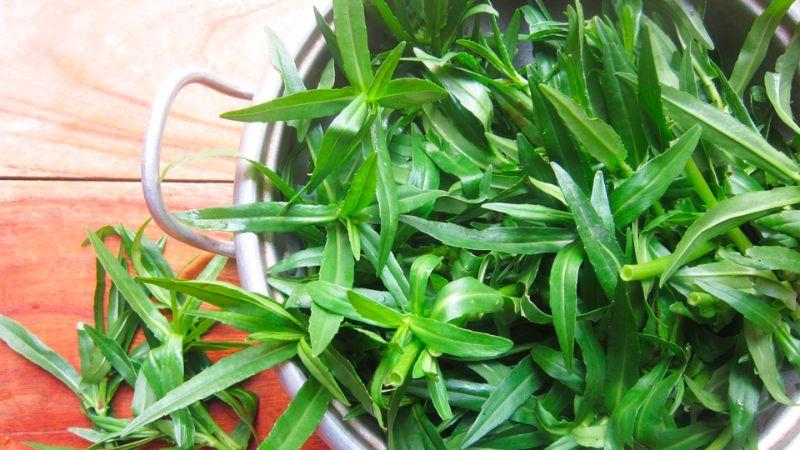 6 bài thuốc dân gian từ rau ngổ giúp điều trị sỏi thận hiệu quả