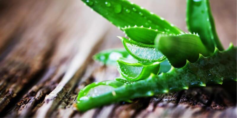 Những bí quyết chế biến nha đam không còn đắng