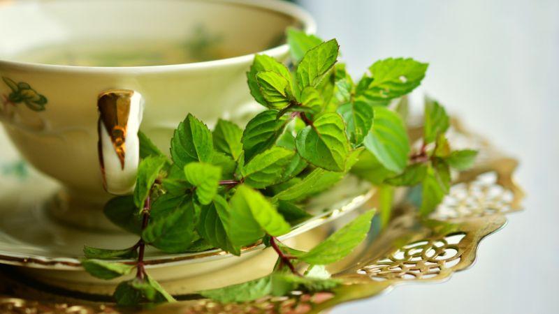 Khám phá 5 loại trà tốt cho sức khỏe của mẹ bầu trong thai kỳ