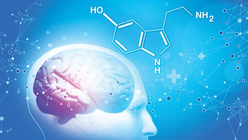 Serotonin là một loại hormone quan trọng đối với cơ thể. Bạn có biết serotonin là gì và làm sao để tăng cường nó một cách tự nhiên? Cùng khám phá những thông tin thú vị về chất này trong bài viết dưới đây.