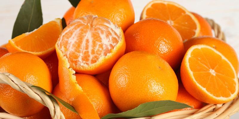 Những thực phẩm giúp bạn giảm thiểu cơn say xe hiệu quả