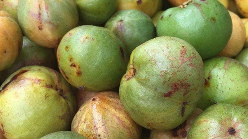 Quả bứa là gì? Cùng tìm hiểu những lợi ích, giá trị và nơi có thể mua loại quả độc đáo này.