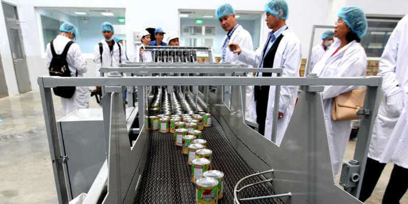 Tại sao sữa đặc lại dễ dàng bị nấm mốc?