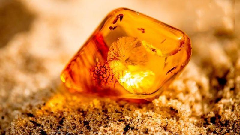 Succinic acid là một thành phần quan trọng trong mỹ phẩm, với nhiều tác dụng tuyệt vời cho làn da. Vậy suxcinic acid là gì và nó có tác dụng như thế nào đối với da?