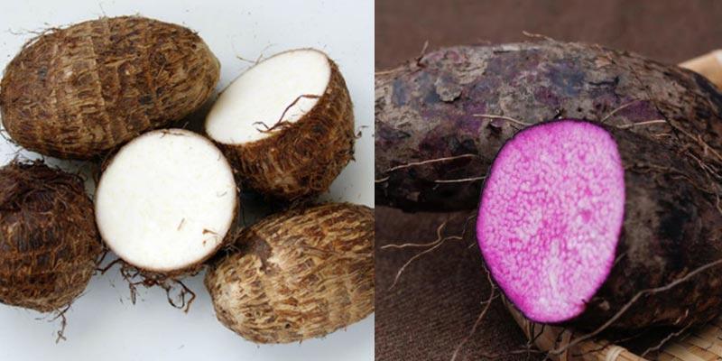 Nên lựa chọn khoai mỡ hay khoai môn cho bữa ăn của bạn?