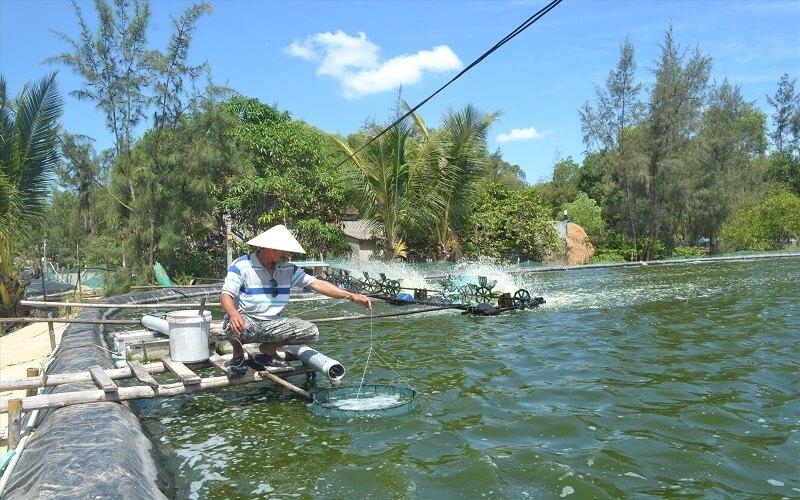 Khám phá những loài cá nước lợ quen thuộc mà bạn có thể chưa từng nghe đến