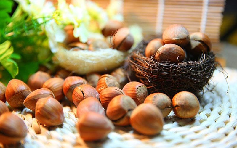 Hạt Hazelnut là loại hạt giàu dinh dưỡng và mang lại nhiều lợi ích cho sức khỏe, được biết đến với hương vị đặc biệt và ứng dụng phong phú trong nhiều món ăn. Khám phá ngay tác dụng và cách sử dụng đúng của loại hạt này.