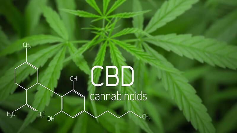 CBD là gì? Khám phá công dụng tuyệt vời của Cannabidiol trong chăm sóc da