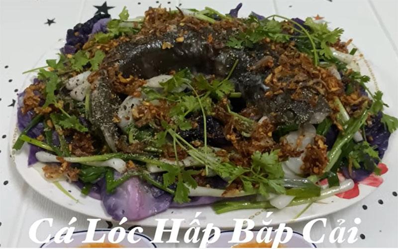 Khám phá công thức chế biến cá lóc hấp bắp cải – món ăn vừa thơm ngon, ngọt lành lại dễ thực hiện ngay tại nhà.