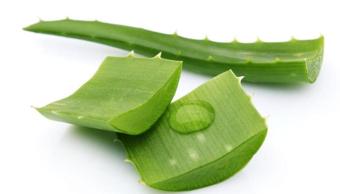 6 cách trị ngứa da đầu hiệu quả trong những ngày hè oi ả, với nguyên liệu dễ dàng tìm thấy ngay tại nhà.