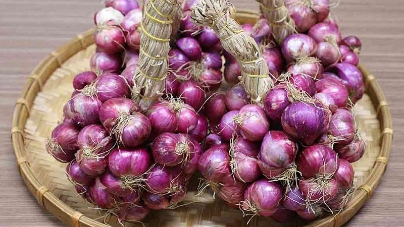 Khám phá 2 cách làm lông mày dày nhanh chóng chỉ với 1 củ hành tím quen thuộc, có sẵn trong mỗi gia đình.