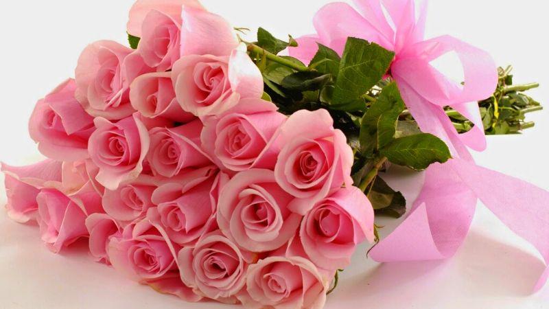 Khám phá 10 loài hoa tuyệt vời để gửi lời chúc thầy cô nhân ngày Nhà giáo Việt Nam 20/11