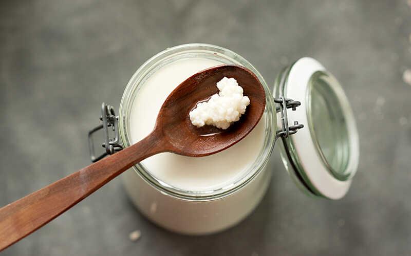 Nấm sữa Kefir, hay còn gọi là nấm sữa Tây Tạng, là một loại thực phẩm lên men có công dụng tuyệt vời cho sức khỏe. Cùng tìm hiểu về đặc điểm và cách chăm sóc loại nấm này nhé.