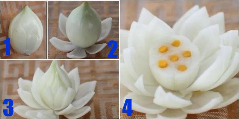 Hướng dẫn tỉa hoa sen từ củ hành tây