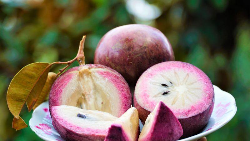 Mẹ sau sinh có thể ăn vú sữa không? Những điều cần lưu ý khi thưởng thức vú sữa trong giai đoạn hậu sản
