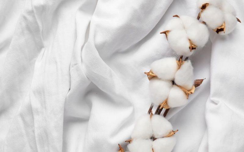 Khám phá 8 loại vải mềm mại, an toàn cho làn da nhạy cảm
