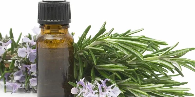 Khám phá đầy đủ công dụng của dầu tràm đối với sức khỏe mẹ và bé, để hiểu rõ hơn về tác dụng tuyệt vời của sản phẩm này.