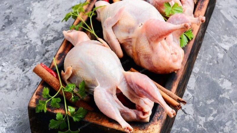 Chế biến món ăn từ bồ câu như thế nào cho hấp dẫn? Những món ăn từ thịt bồ câu mà bạn nhất định phải thử.