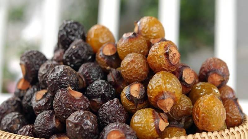 Khám phá cách tự làm nước rửa chén từ quả bồ hòn: vừa làm sạch dầu mỡ, lại bảo vệ sức khỏe của gia đình bạn.