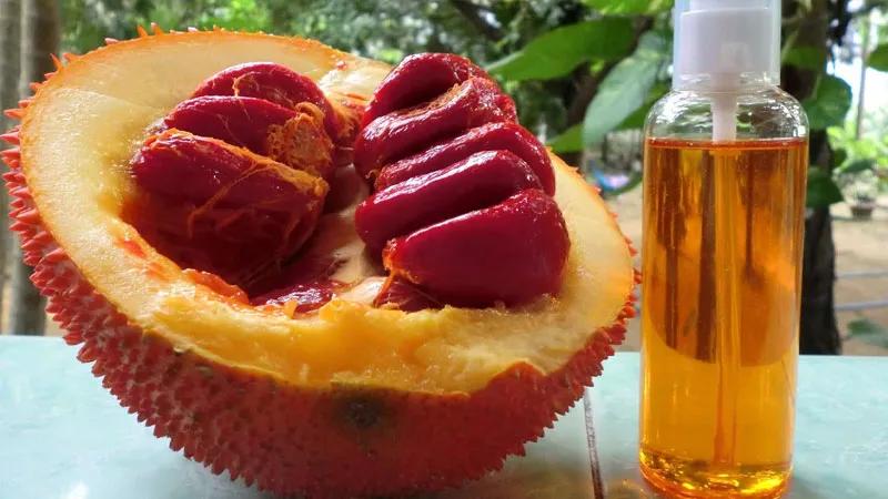 Cách làm dầu gấc nguyên chất 100% cho bé ngay tại nhà