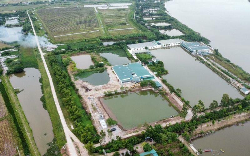 Khám phá 2 điểm đến tuyệt vời tại Vũ Thư, Thái Bình, những địa danh không thể bỏ qua trong hành trình du lịch.